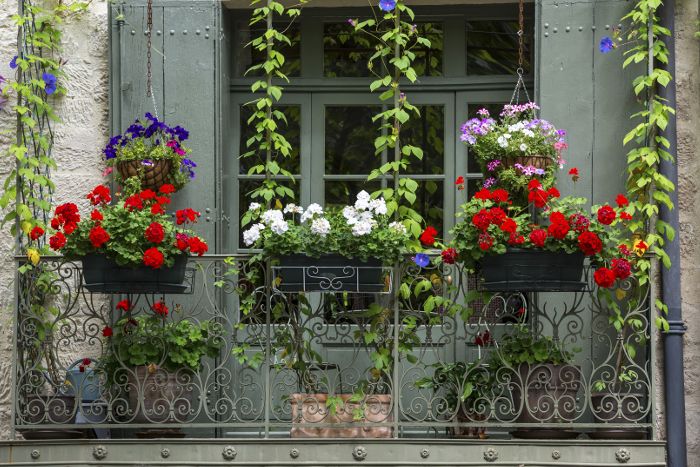 Balkon mit vielen Pflanzen und Blumen